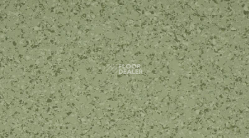 Линолеум Gerflor Mipolam Affinity 4427 Pine Forest фото 1 | FLOORDEALER